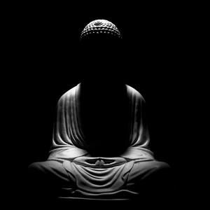 Meet your Posher, Annmarie